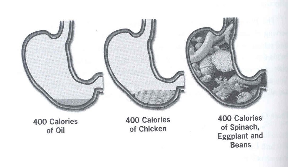 drawing of a tightly packed stomach