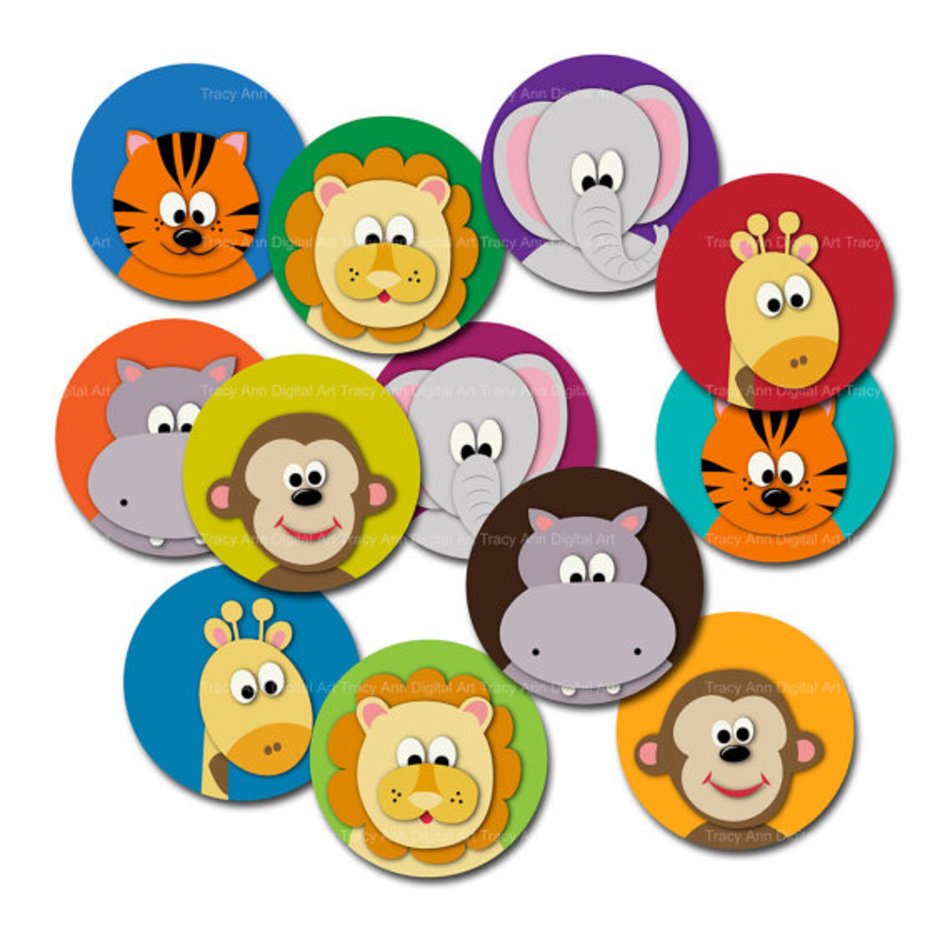 Baby Jungle Animals Panda Free Images N3
