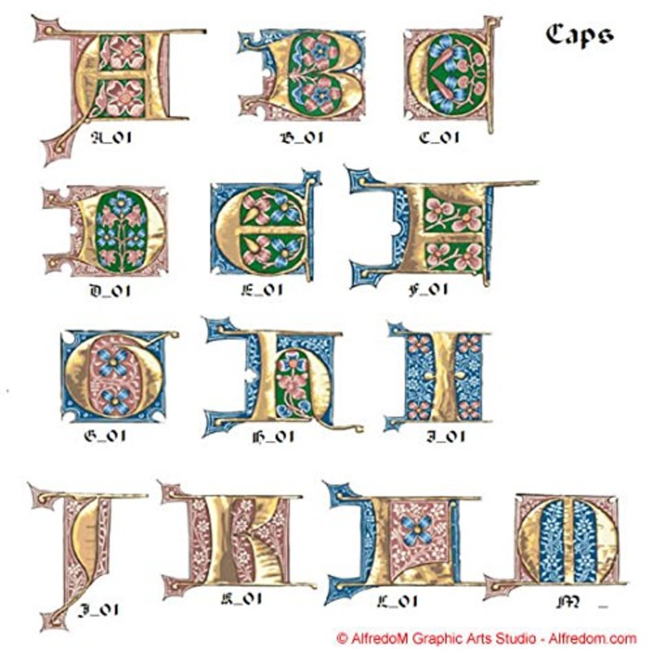 Illuminated Borders Floral Decorative Elements