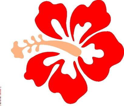 Coral Hibiscus At Clkercom Vector Online Royalty N3
