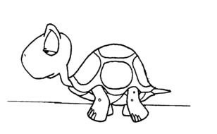 black and white picture of a little turtle