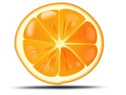 Clipart of orange slice