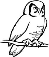 black and white drawing of an owl on a branch