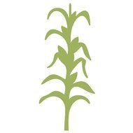 Corn Stalk Stencil Pictures