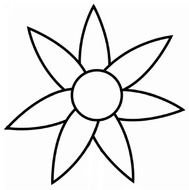 black and white sunflower as a graphic image