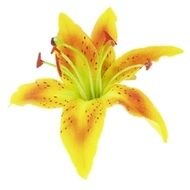 Professional Development Faculty &amp; Staff Resources Contact Us