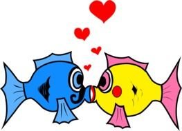 clipart of the kissing fishes