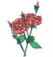 Flower Collection Of 150 N3