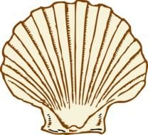 Purple Shell At Clkercom Vector Online Royalty N2
