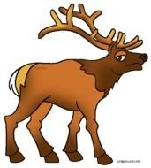 Elk Clip Art 3gif