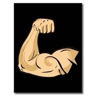 Cartoon Muscles Man Strong Arm Biceps Athletic Pow Postcard Zazzle N2