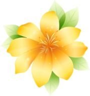 Flower On Spring Flowers Decorations Digital