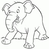 White Elephant drawing