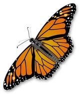 13 Monarch Butterfly Frees That You Can Download To