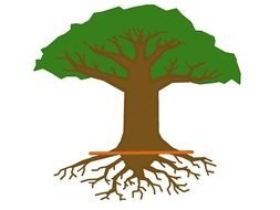 Bonsai big tree drawing