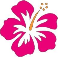 drawing of cartoon pink flower with an orange center on a white background