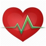 Displaying 17 Gallery Images For Cardio Heart