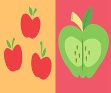 apples drawing