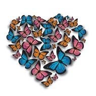 heart of colorful butterflies as a picture for clipart