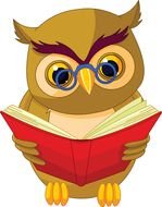 clever owl drawing