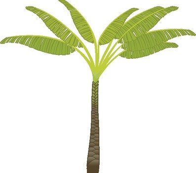 Free Vector Palm Tree Clip Art 114721 Hightpng