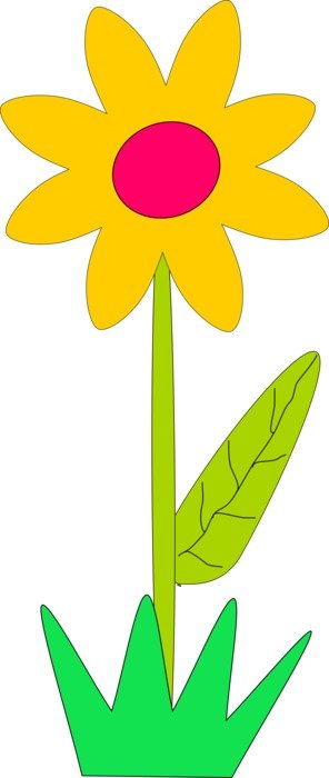 Machovka Flower drawing