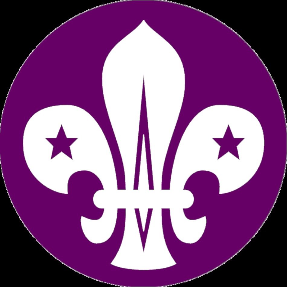 44th Swansea Scout Group