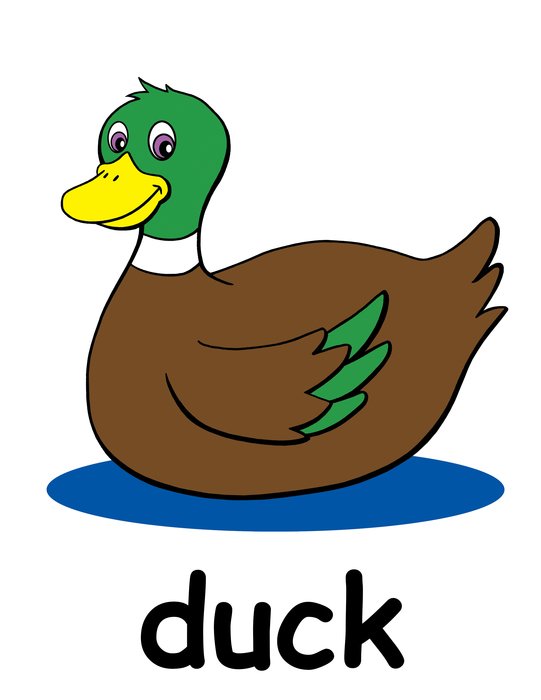 brown duck as a picture for clipart