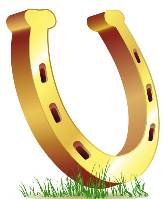 painted golden horseshoe on the grass