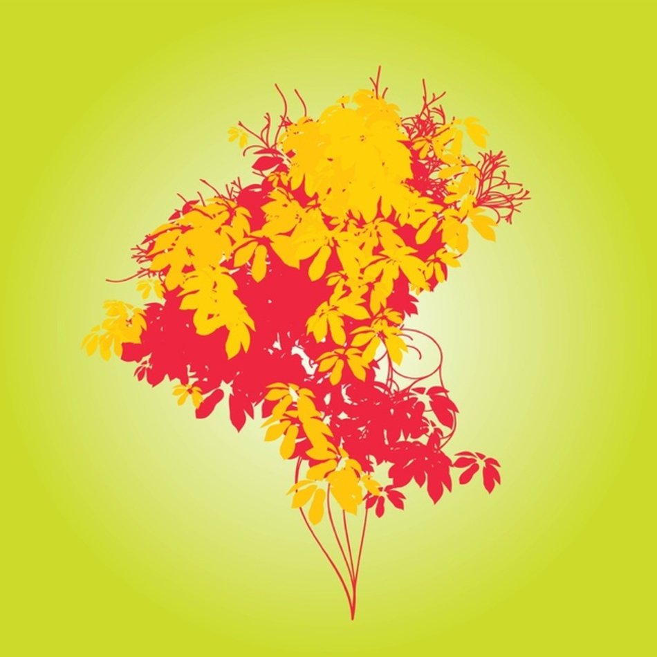 Wild Flowers Bouquets Free Logocom
