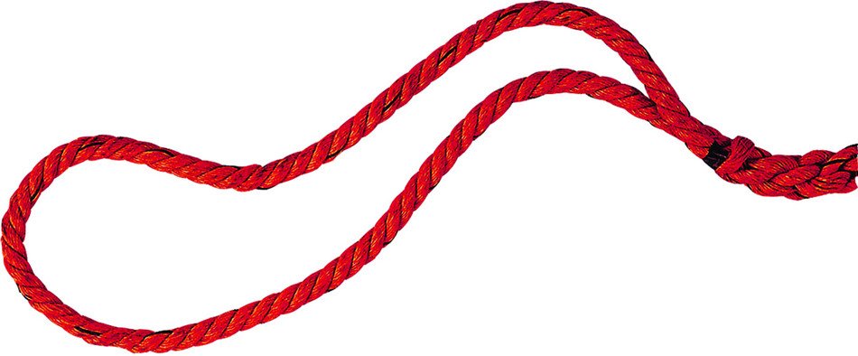 Red Anchor drawing