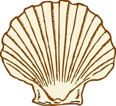 Purple Shell At Clkercom Vector Online Royalty N2