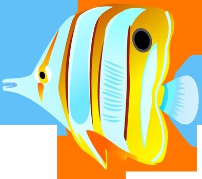 Tropical Fish Cli A