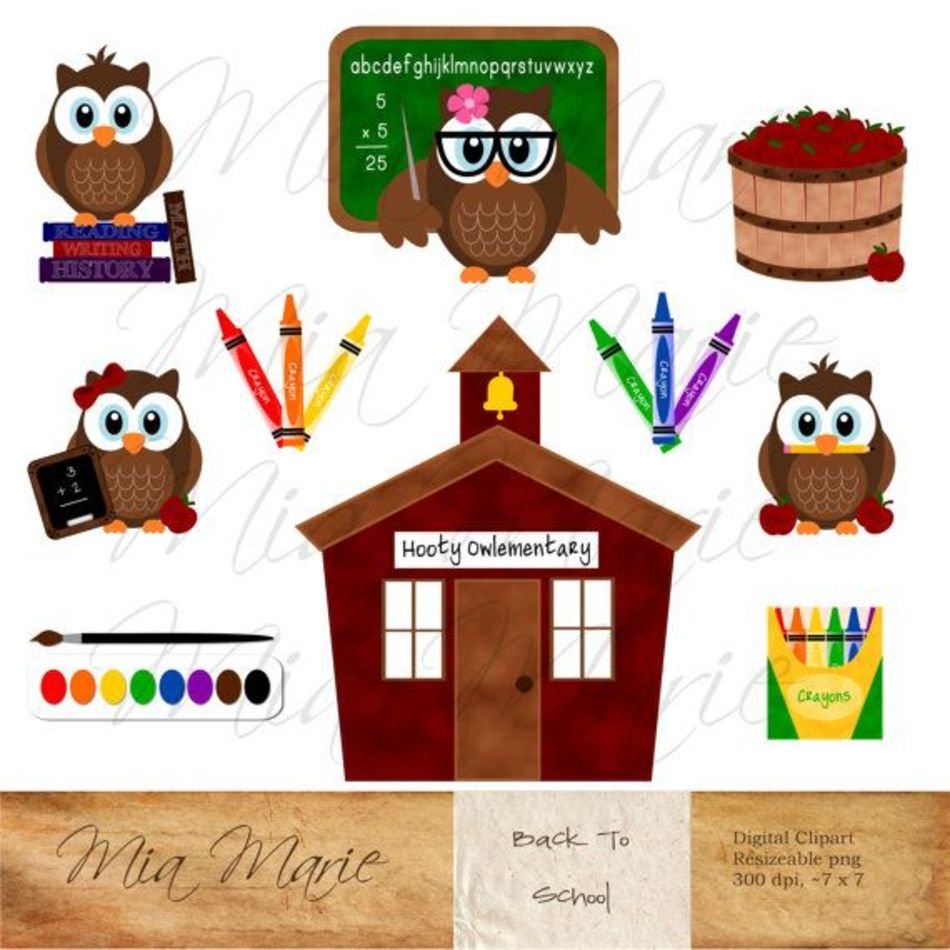 School Owl Teacher Crayon