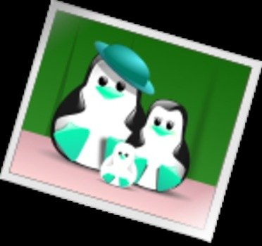 Penguin Family Vector