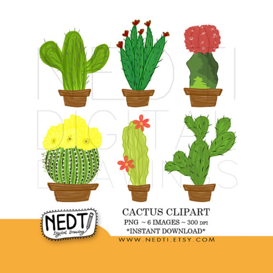 Cactus Set Png Commercial And Personal Use Doodle Drawing