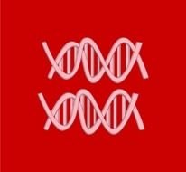 Dna Black White Linkedin Red Equal I Support Love Marriage Equality