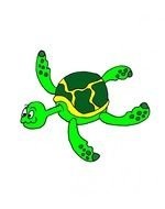 Cartoon green sea Turtle