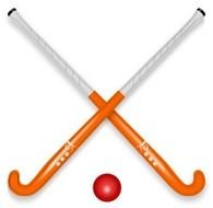 Hockey Stick &amp; Ball Svg Vector