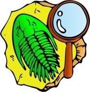 Trilobite Vectorsvg Wikimedia Commons