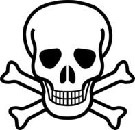 skull as a graphic image