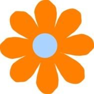 Orange Daisy Flower drawing