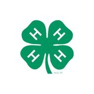 4-h Clover Border drawing