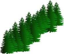 Evergreen Cluster At Clkercom Vector Online