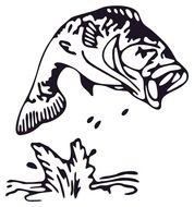 Black and white drawing of the fish clipart