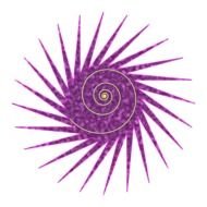 polygonal spiral star