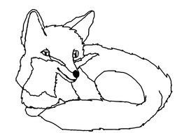 fox sleep drawing
