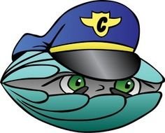 drawing of a seashell in a hat