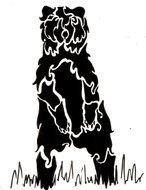 black bear as a picture for clipart