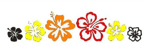 Hawaiian Border drawing